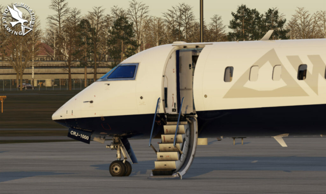 DeltaWing Simulations CRJ-1000